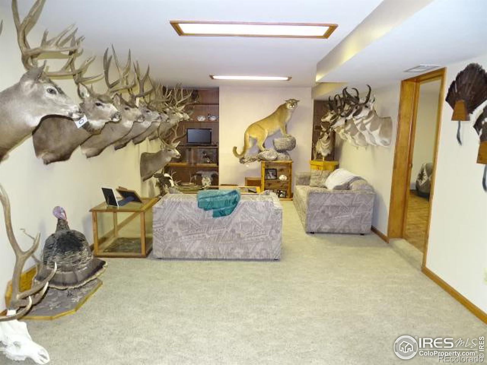 23982 County Road 58, Greeley, CO 80631, 4 Bedrooms Bedrooms, ,2 BathroomsBathrooms,Residential,For Sale,County Road 58,RECIR1021437