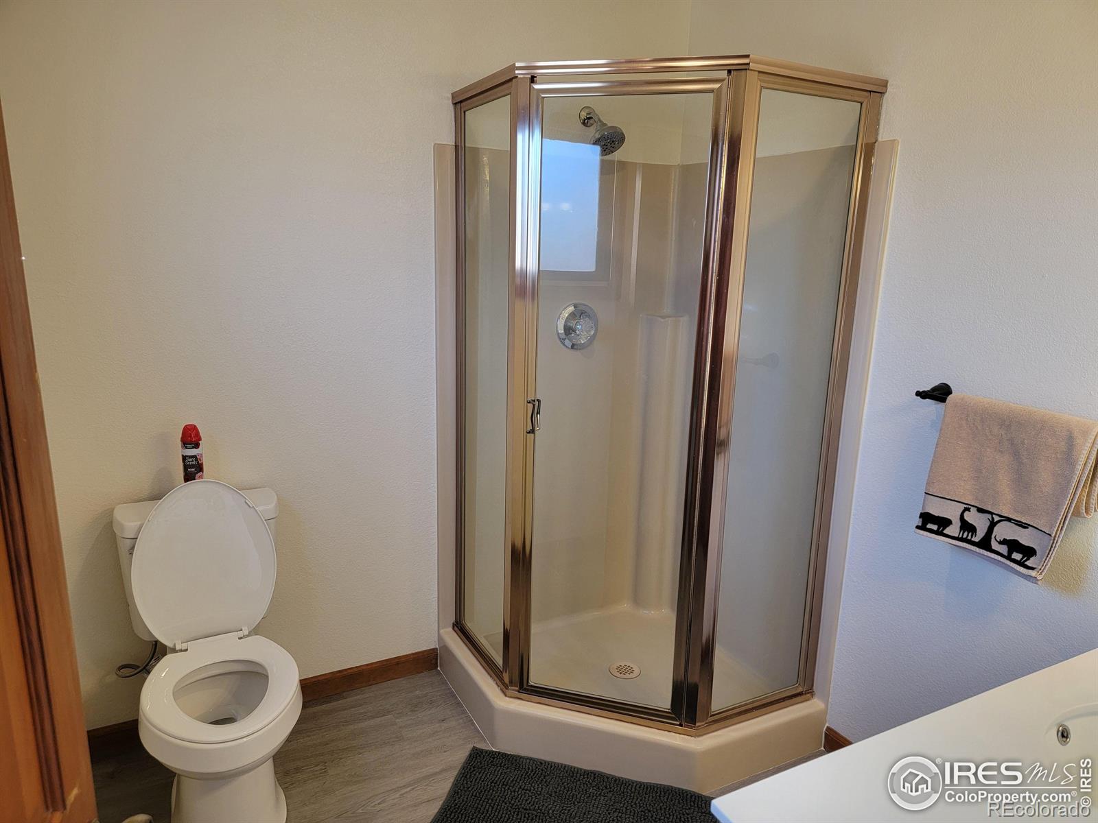 403 21st Avenue, Greeley, CO 80631, 3 Bedrooms Bedrooms, ,2 BathroomsBathrooms,Residential,For Sale,21st,RECIR1021509