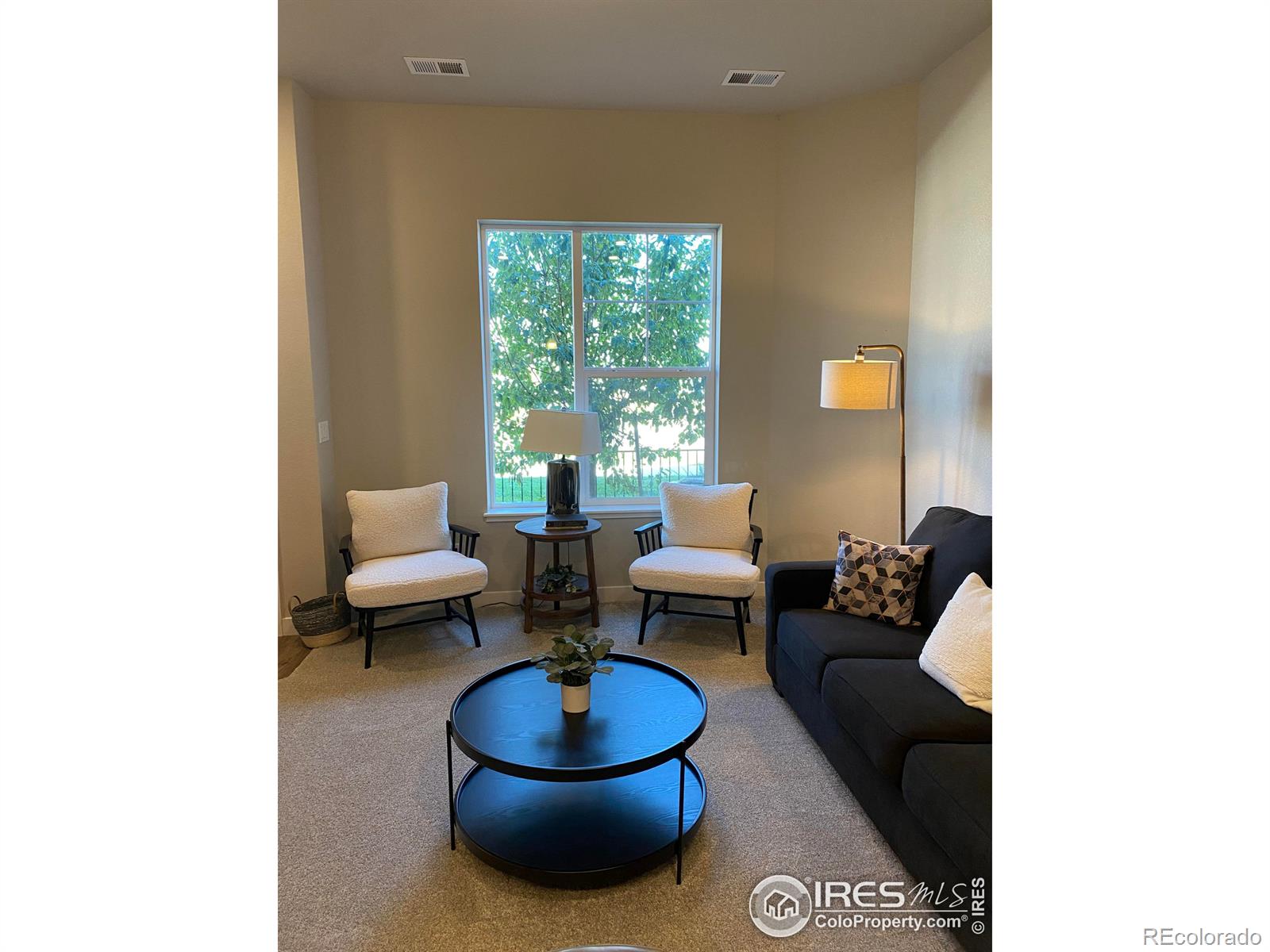 4110 Park Drive, Loveland, CO 80538, 2 Bedrooms Bedrooms, ,3 BathroomsBathrooms,Residential,For Sale,Park,RECIR1021442