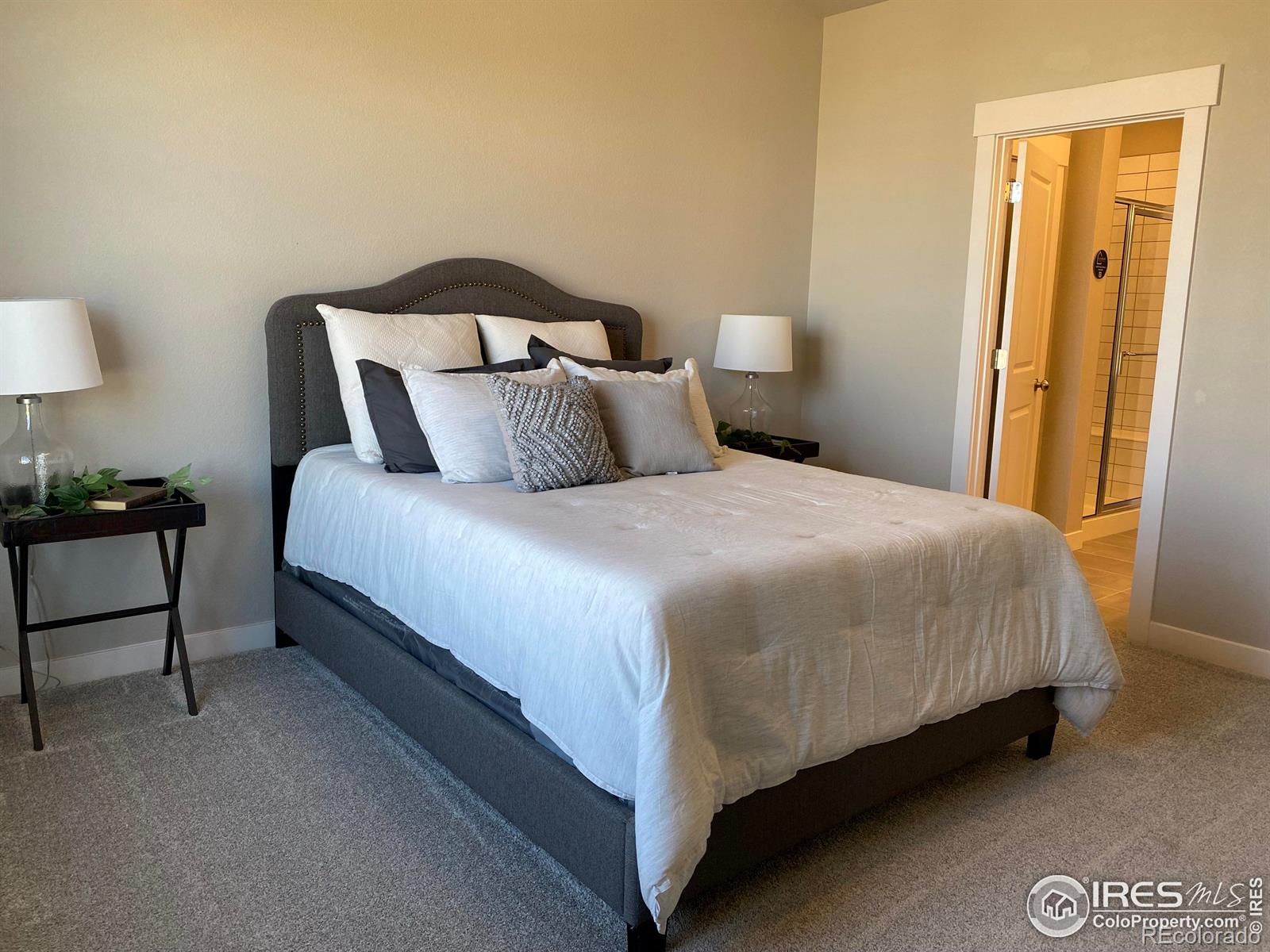 4110 Park Drive, Loveland, CO 80538, 2 Bedrooms Bedrooms, ,3 BathroomsBathrooms,Residential,For Sale,Park,RECIR1021442