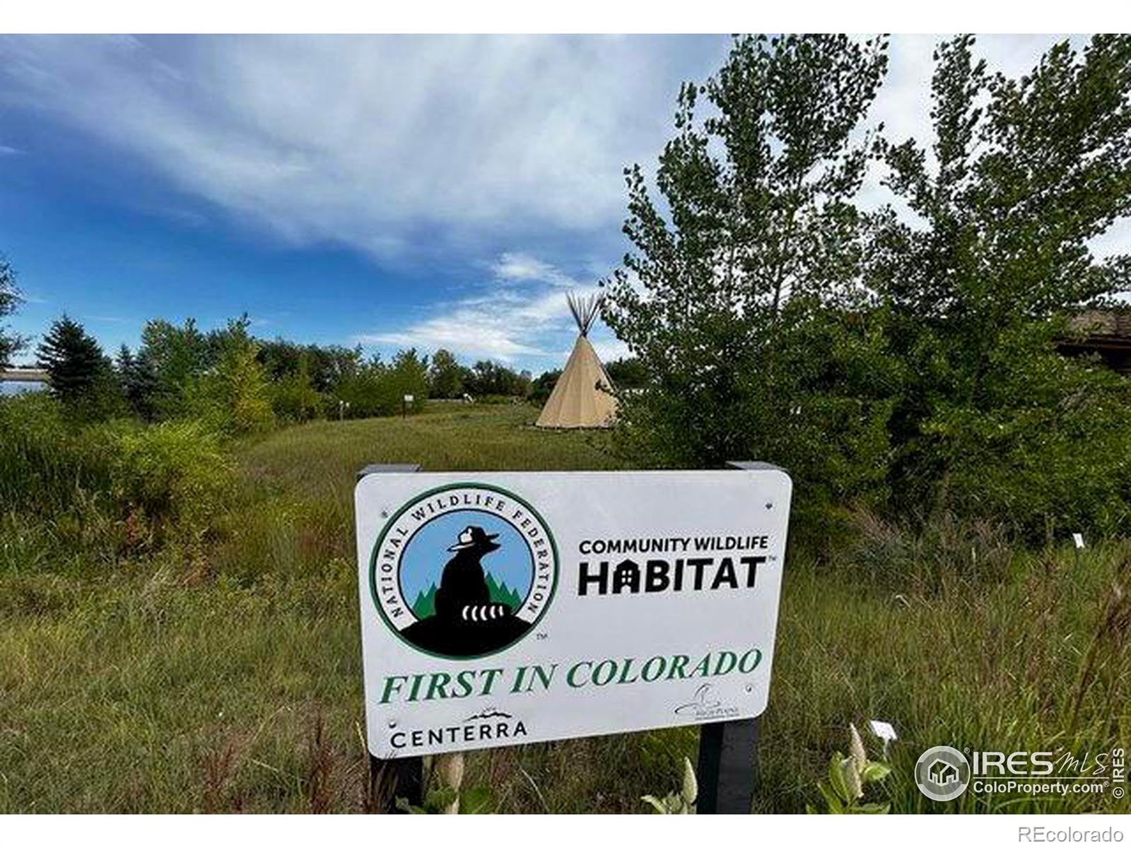 4110 Park Drive, Loveland, CO 80538, 2 Bedrooms Bedrooms, ,3 BathroomsBathrooms,Residential,For Sale,Park,RECIR1021442