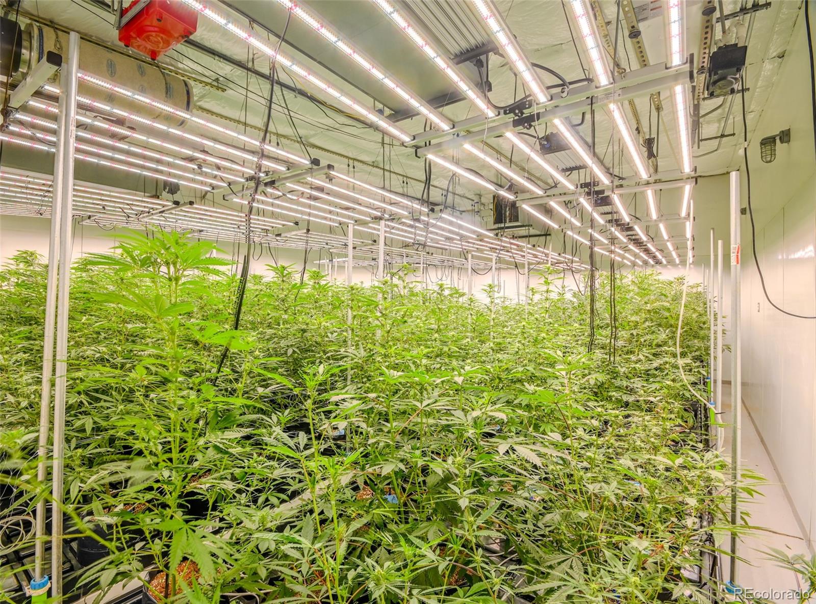 472 Laredo Street, Aurora, CO 80011, ,Commercial,For Sale,Pacifica Laredo,Laredo,REC7387097