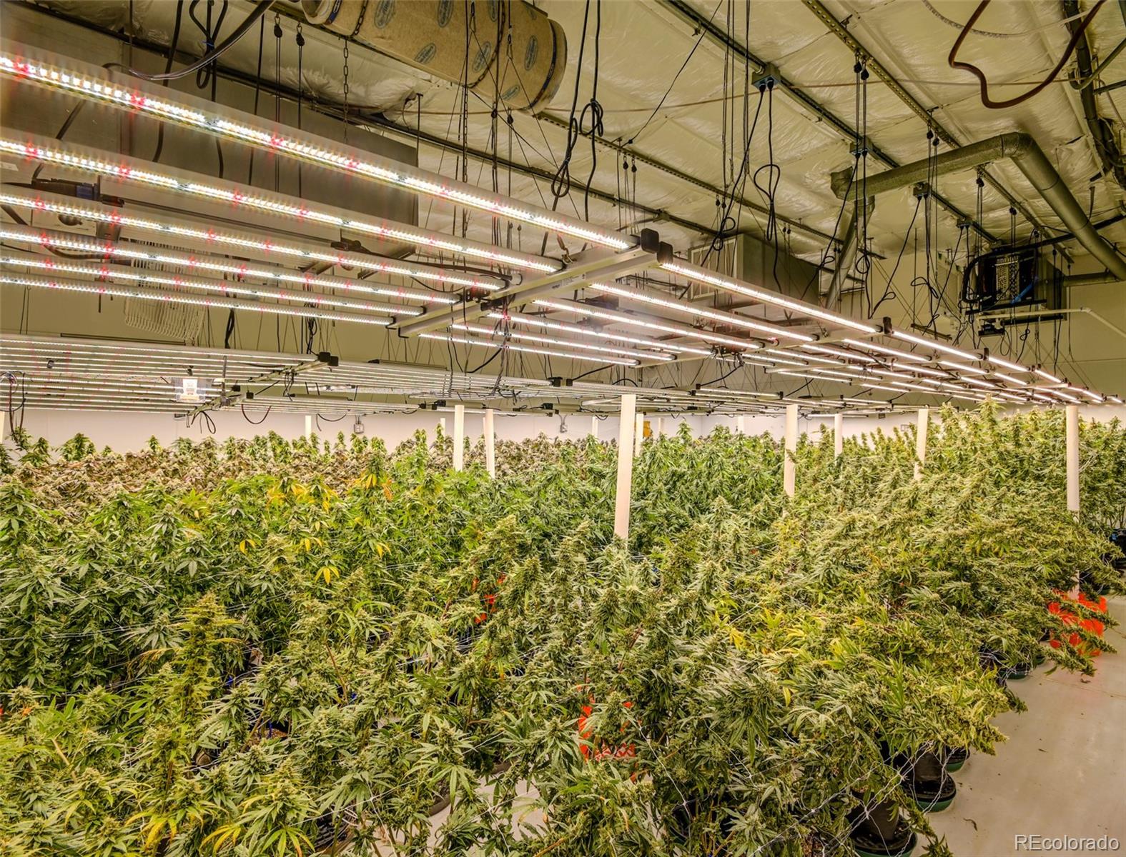 472 Laredo Street, Aurora, CO 80011, ,Commercial,For Sale,Pacifica Laredo,Laredo,REC7387097