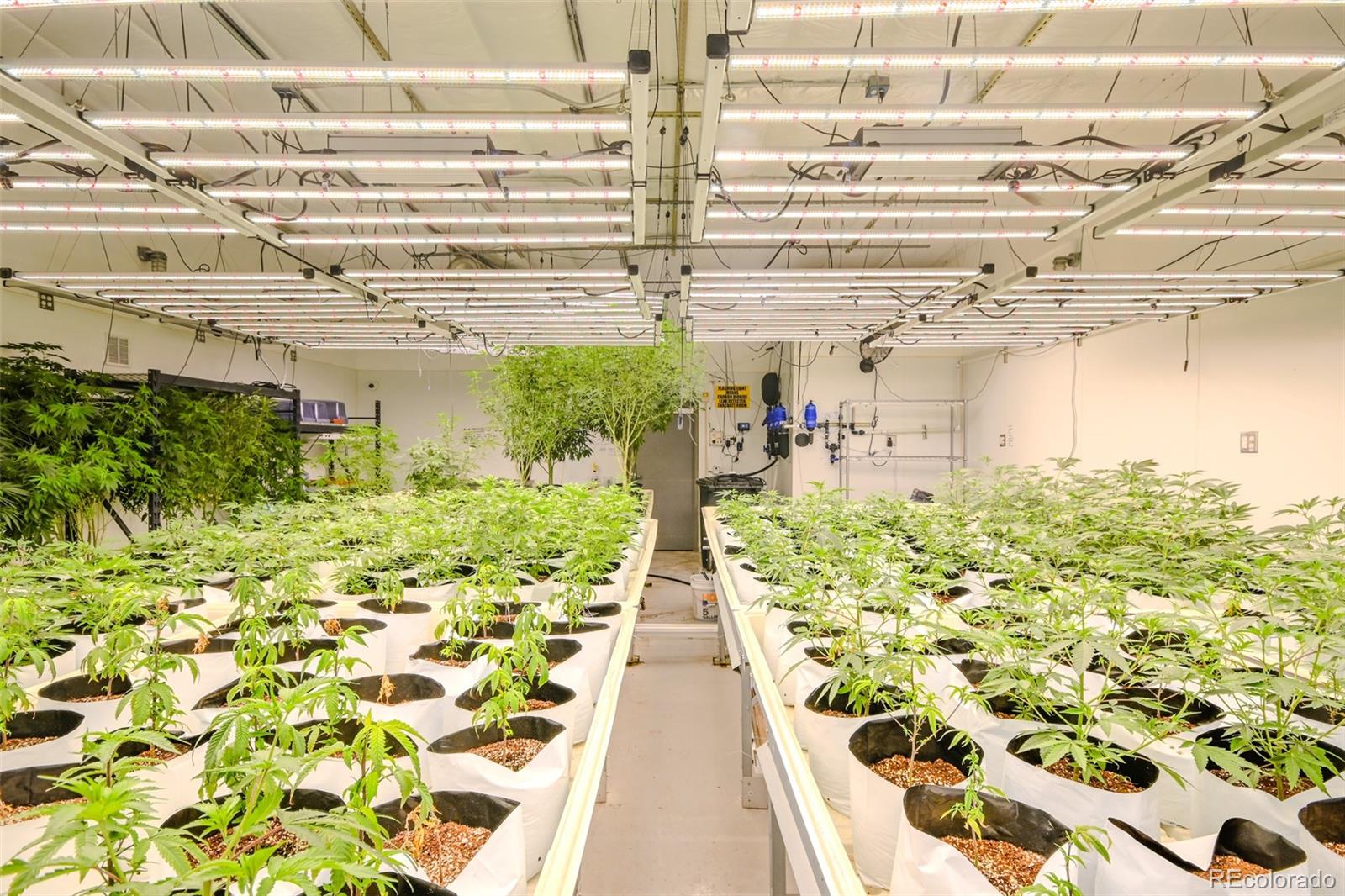 472 Laredo Street, Aurora, CO 80011, ,Commercial,For Sale,Pacifica Laredo,Laredo,REC7387097