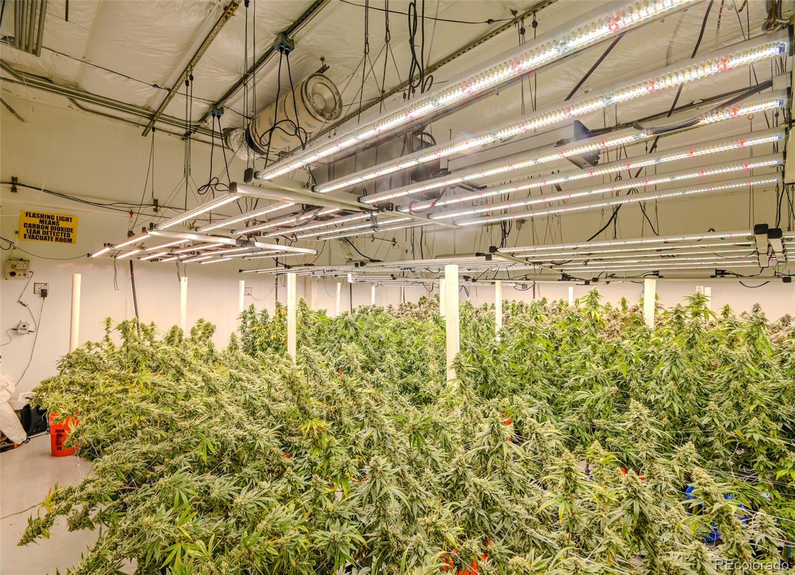 472 Laredo Street, Aurora, CO 80011, ,Commercial,For Sale,Pacifica Laredo,Laredo,REC7387097