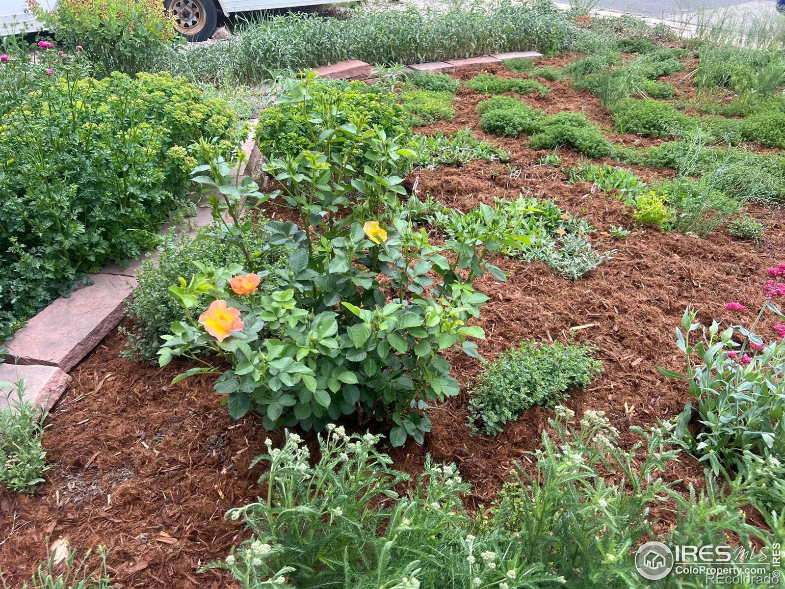 622 Graefe Avenue, Ault, CO 80610, 4 Bedrooms Bedrooms, ,2 BathroomsBathrooms,Residential,For Sale,Graefe,RECIR1021609