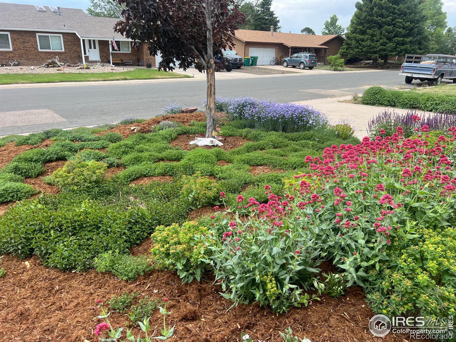 622 Graefe Avenue, Ault, CO 80610, 4 Bedrooms Bedrooms, ,2 BathroomsBathrooms,Residential,For Sale,Graefe,RECIR1021609