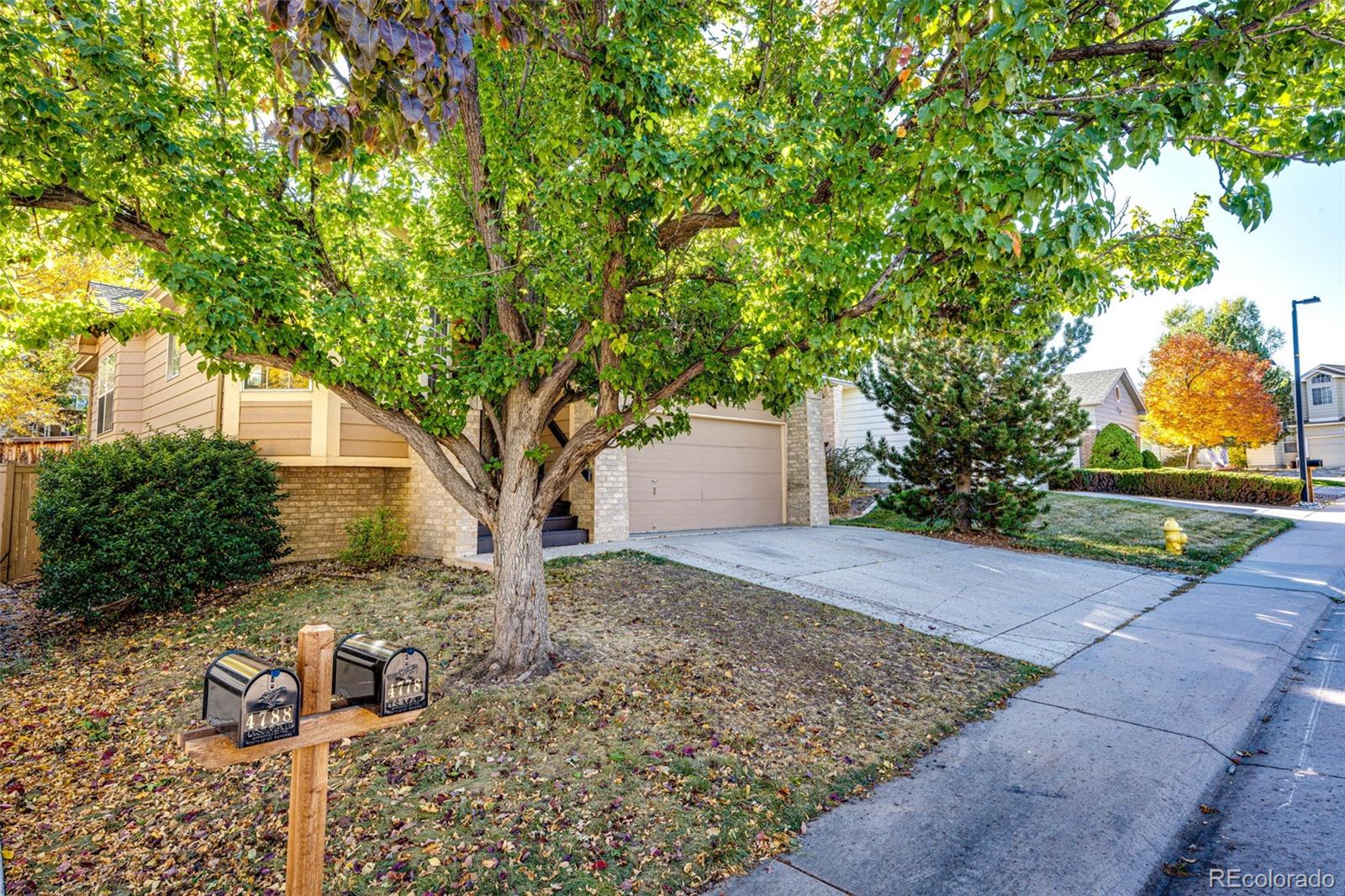 4778 Bearlily Way, Castle Rock, CO 80109, 3 Bedrooms Bedrooms, ,3 BathroomsBathrooms,Residential,For Sale,Bearlily,REC7280405