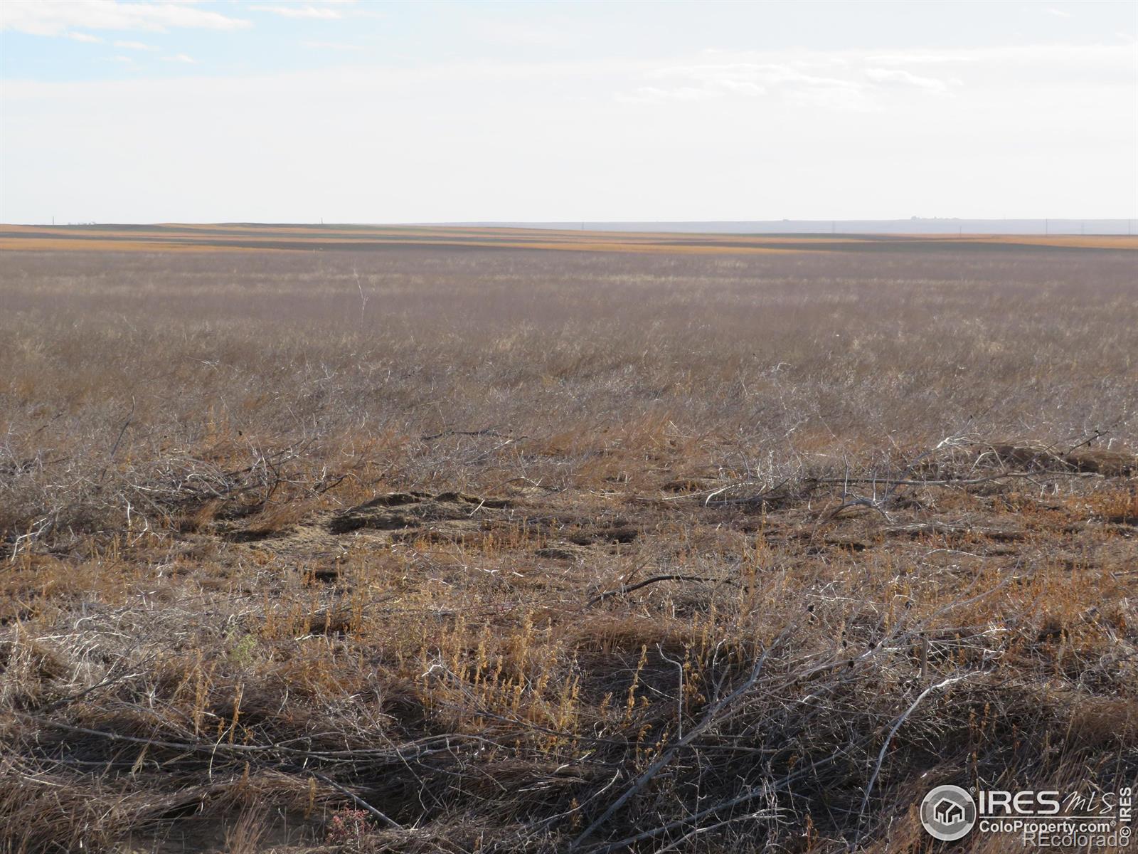 0 Parcel 2 North, Briggsdale, CO 80611, ,Land,For Sale,Parcel 2 North,RECIR1021594