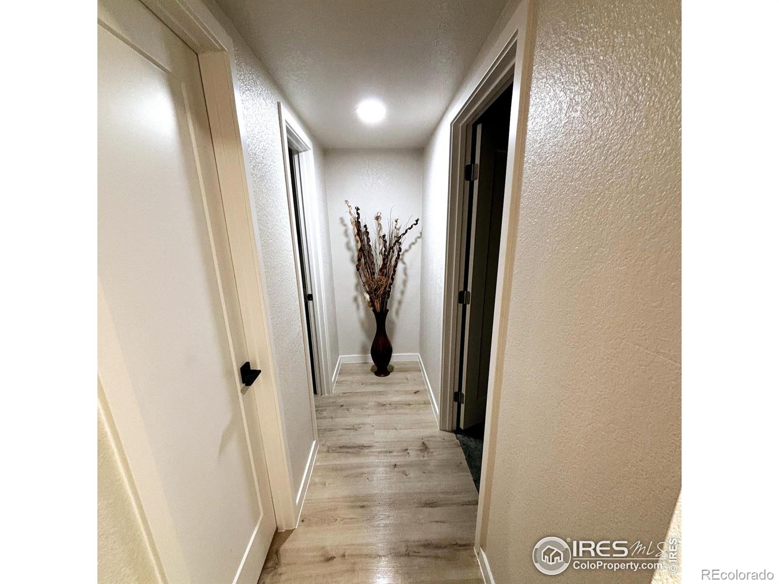 913 24th St Rd, Greeley, CO 80631, 3 Bedrooms Bedrooms, ,2 BathroomsBathrooms,Residential,For Sale,24th,RECIR1021754