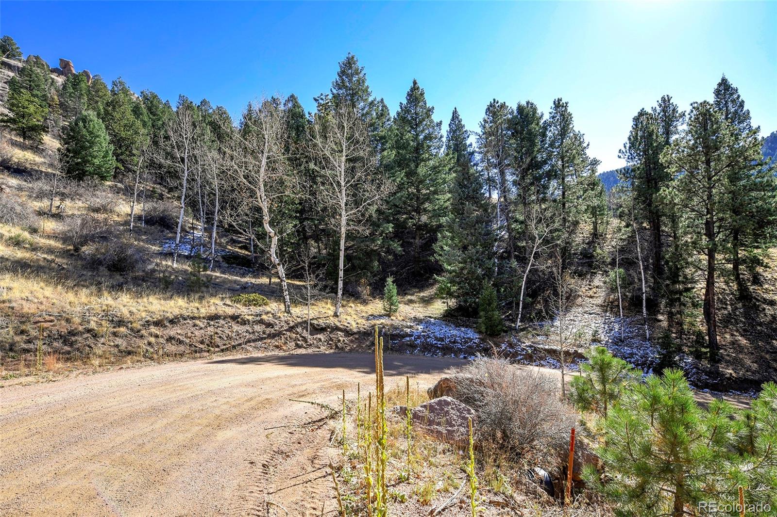 186 Alpine Drive, Cripple Creek, CO 80813, ,Land,For Sale,Alpine,REC6835465