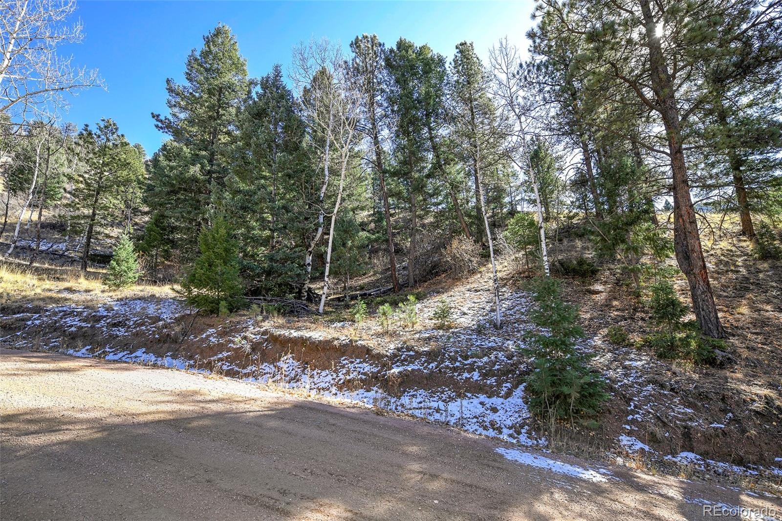 186 Alpine Drive, Cripple Creek, CO 80813, ,Land,For Sale,Alpine,REC6835465