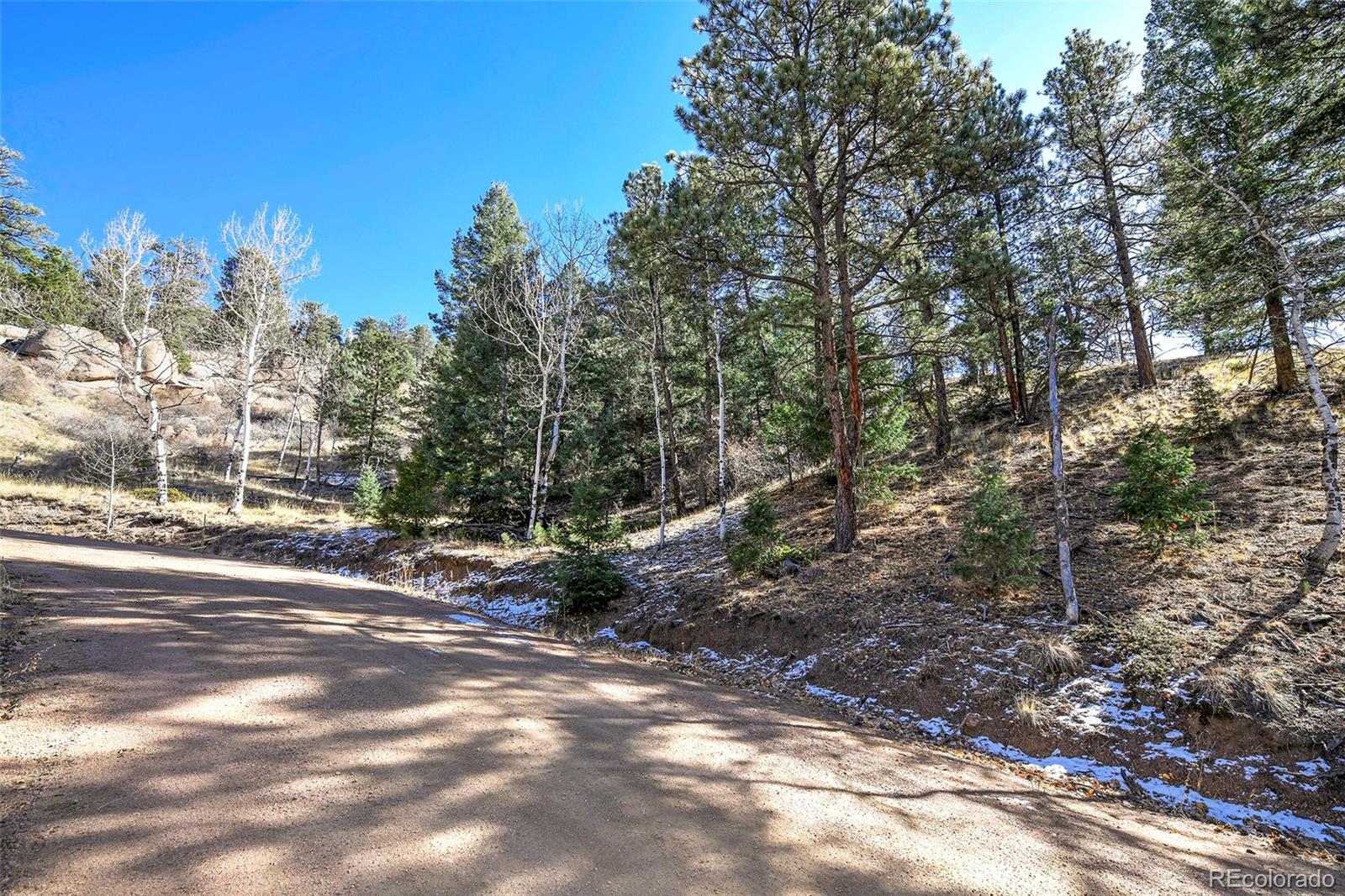 186 Alpine Drive, Cripple Creek, CO 80813, ,Land,For Sale,Alpine,REC6835465
