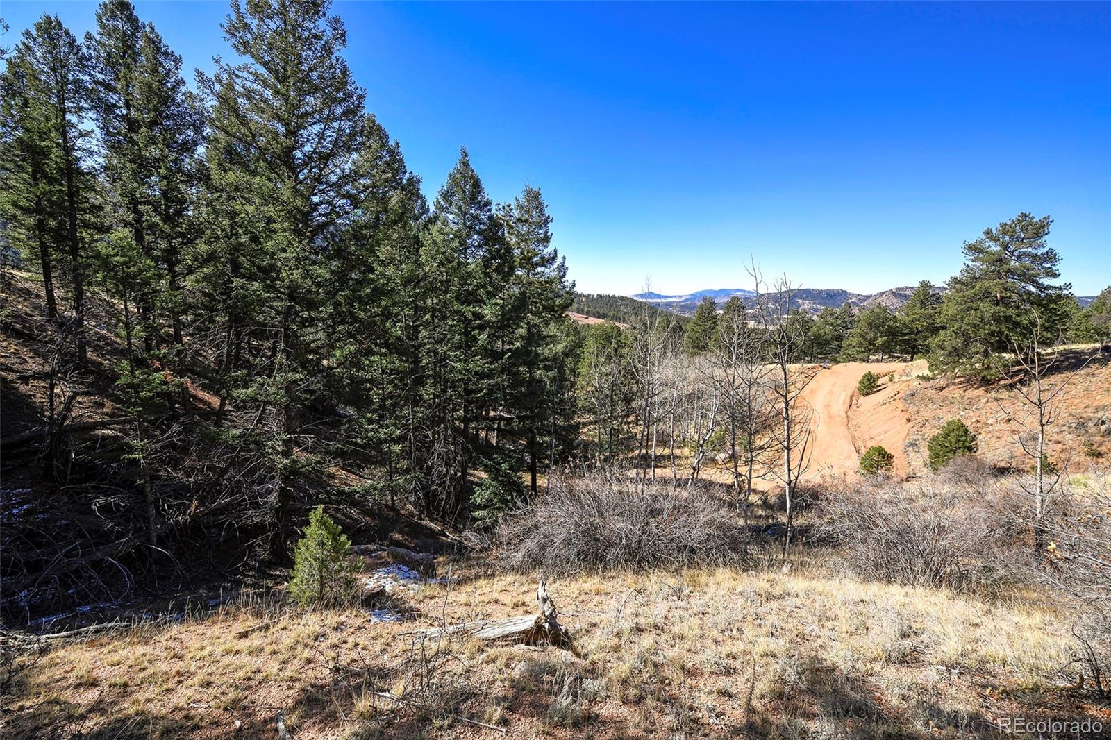 186 Alpine Drive, Cripple Creek, CO 80813, ,Land,For Sale,Alpine,REC6835465