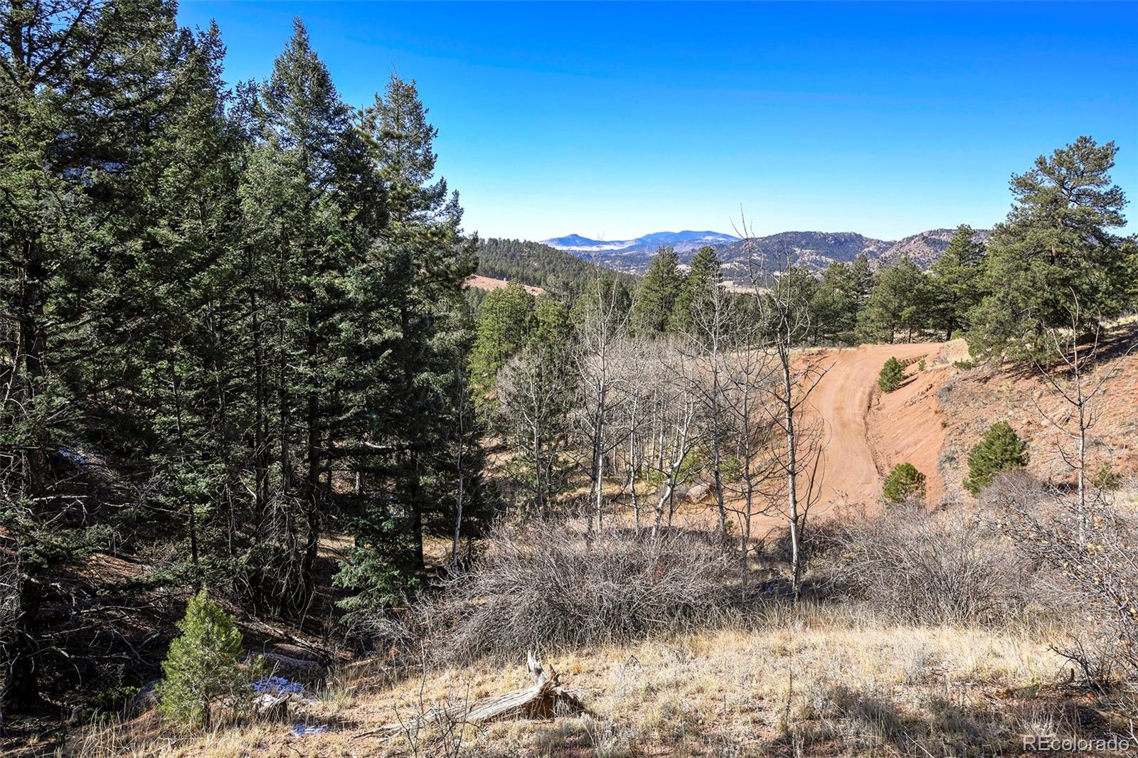 186 Alpine Drive, Cripple Creek, CO 80813, ,Land,For Sale,Alpine,REC6835465