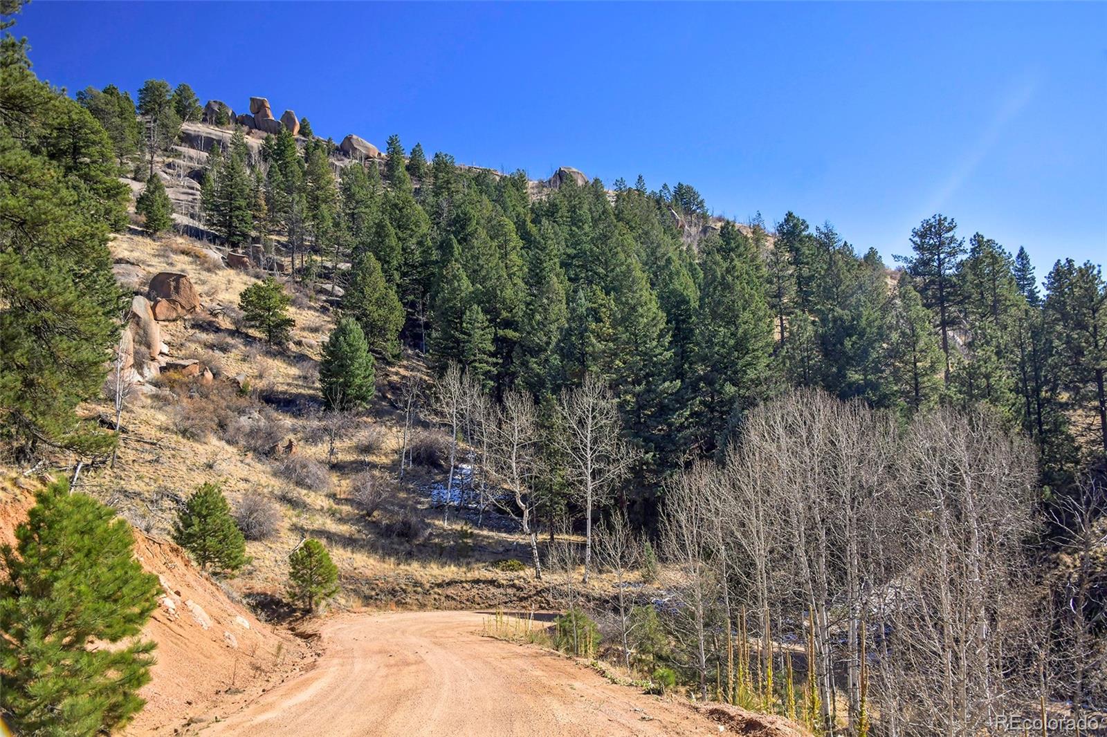 186 Alpine Drive, Cripple Creek, CO 80813, ,Land,For Sale,Alpine,REC6835465