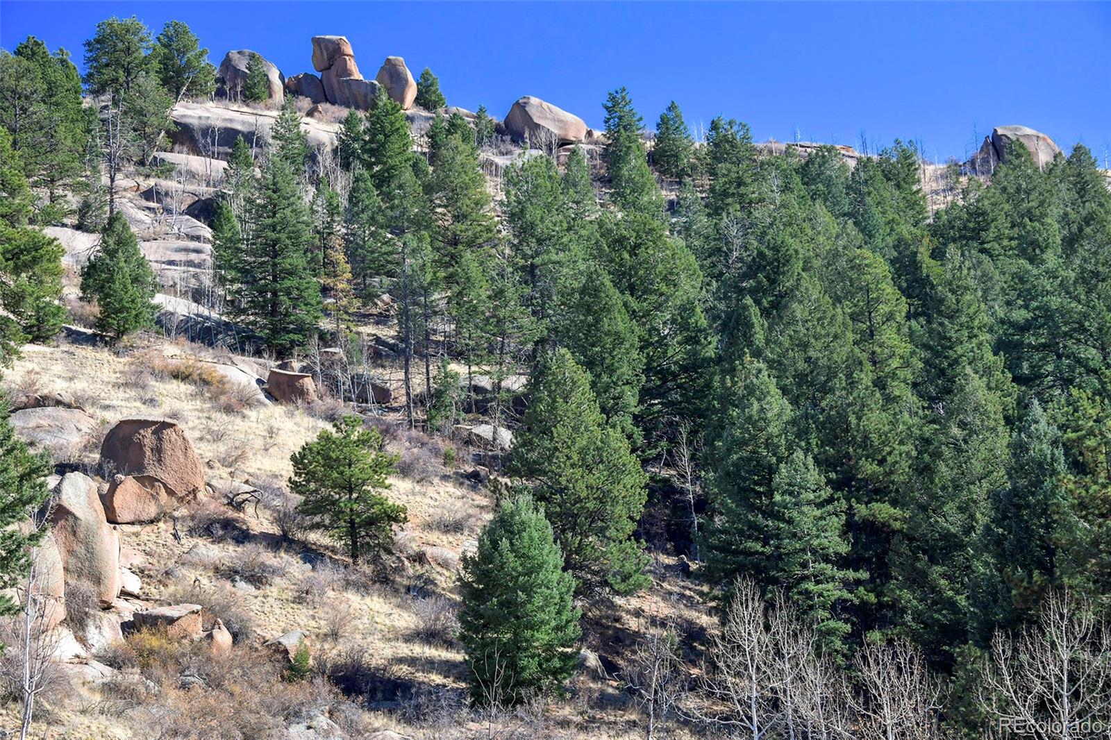 186 Alpine Drive, Cripple Creek, CO 80813, ,Land,For Sale,Alpine,REC6835465