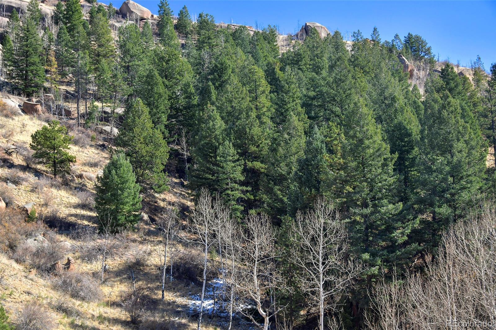 186 Alpine Drive, Cripple Creek, CO 80813, ,Land,For Sale,Alpine,REC6835465