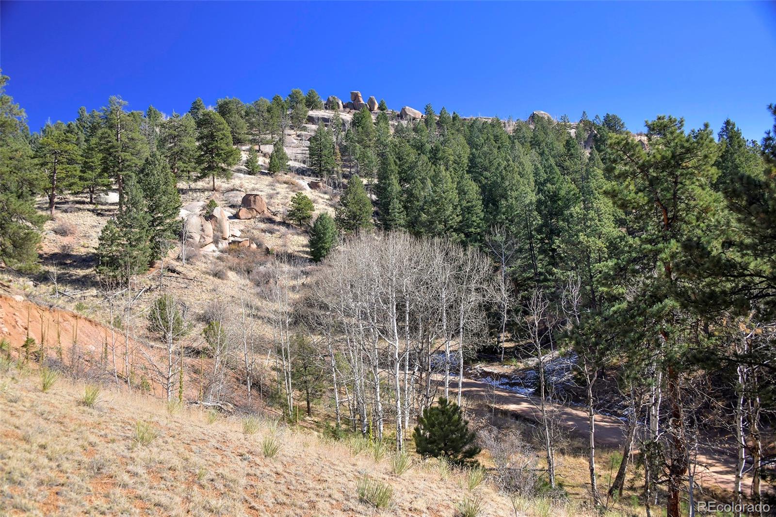 186 Alpine Drive, Cripple Creek, CO 80813, ,Land,For Sale,Alpine,REC6835465