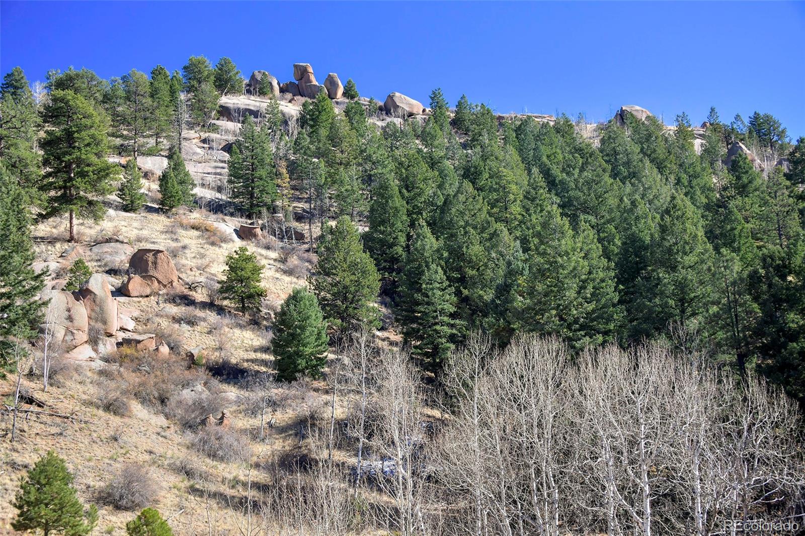 186 Alpine Drive, Cripple Creek, CO 80813, ,Land,For Sale,Alpine,REC6835465