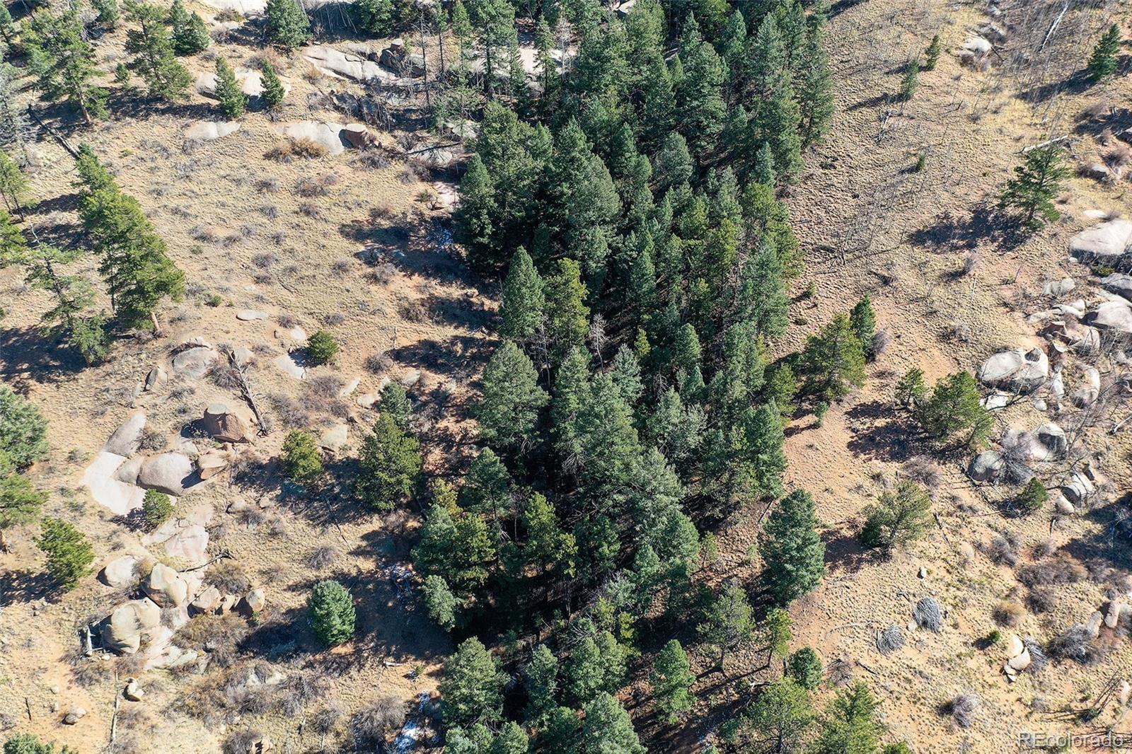 186 Alpine Drive, Cripple Creek, CO 80813, ,Land,For Sale,Alpine,REC6835465