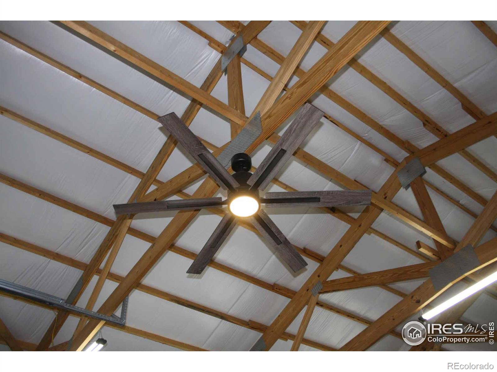 9198 Stevenson Avenue, Carr, CO 80612, 4 Bedrooms Bedrooms, ,2 BathroomsBathrooms,Residential,For Sale,Stevenson,RECIR1022005