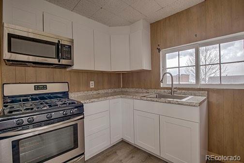 138 4th Street, Leadville, CO 80461, 3 Bedrooms Bedrooms, ,1 BathroomBathrooms,Residential,For Sale,4th,REC8067850