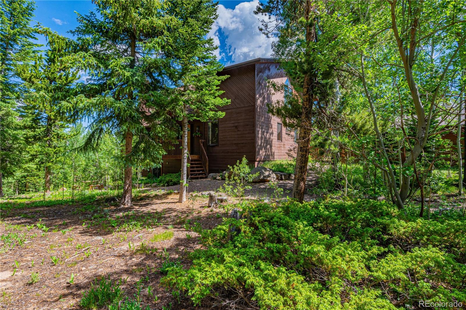 Restricted Address, 3 Bedrooms Bedrooms, ,2 BathroomsBathrooms,Residential,For Sale,Meadow Mountain,REC5866900