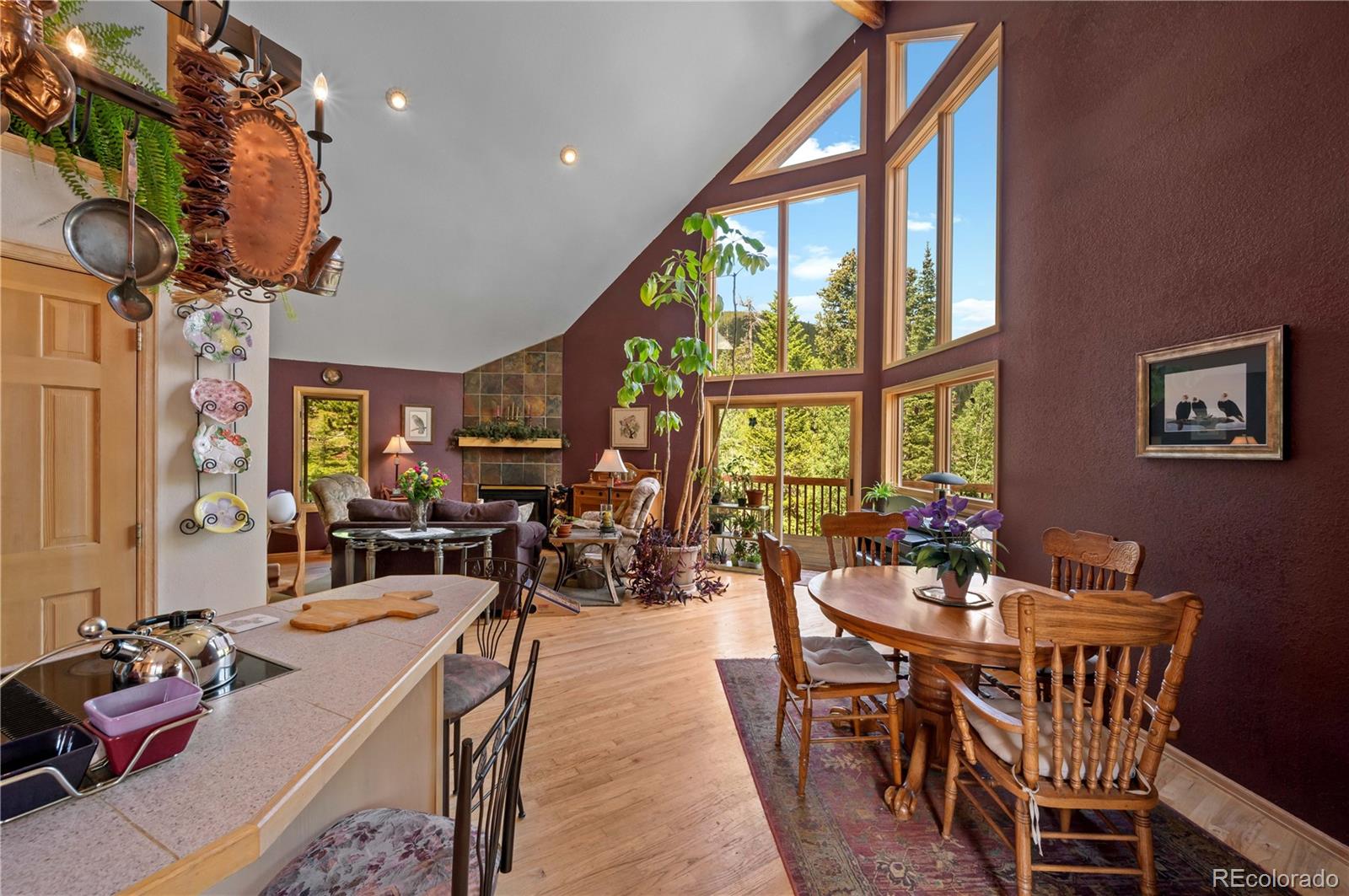 Restricted Address, 3 Bedrooms Bedrooms, ,2 BathroomsBathrooms,Residential,For Sale,Meadow Mountain,REC5866900