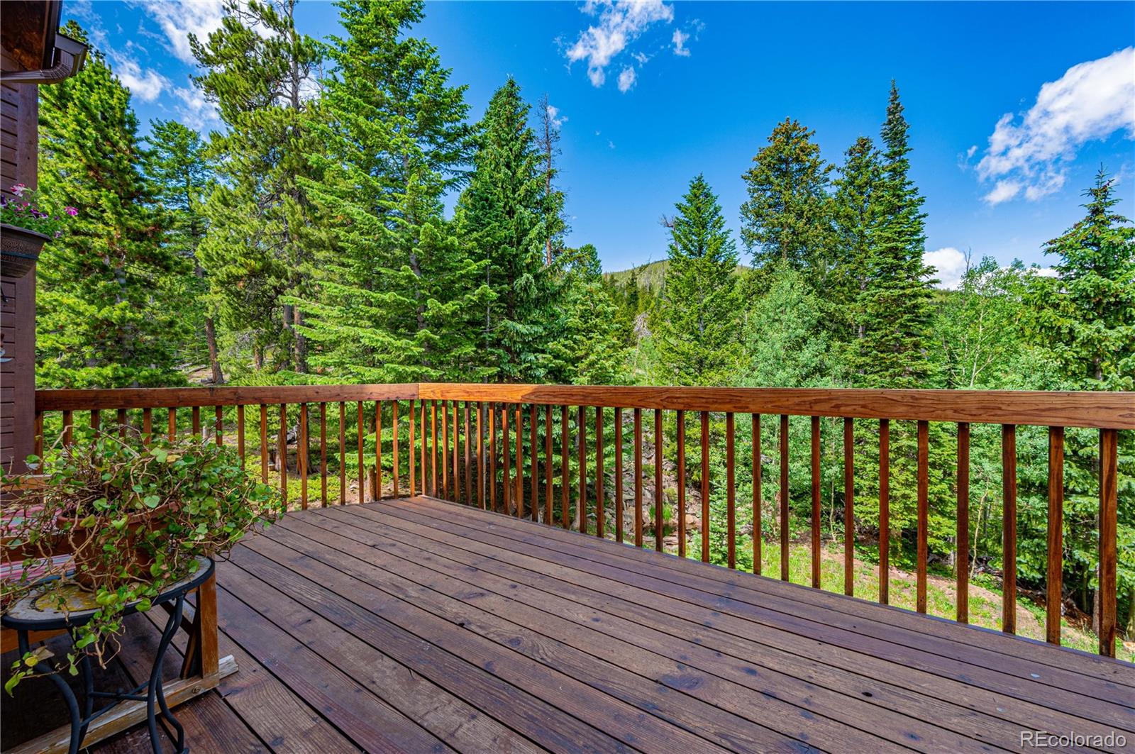 Restricted Address, 3 Bedrooms Bedrooms, ,2 BathroomsBathrooms,Residential,For Sale,Meadow Mountain,REC5866900