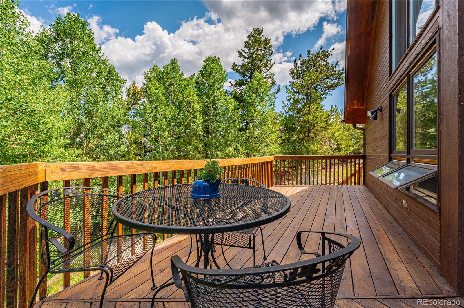 Restricted Address, 3 Bedrooms Bedrooms, ,2 BathroomsBathrooms,Residential,For Sale,Meadow Mountain,REC5866900