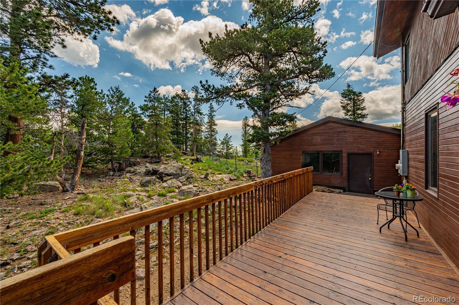 Restricted Address, 3 Bedrooms Bedrooms, ,2 BathroomsBathrooms,Residential,For Sale,Meadow Mountain,REC5866900