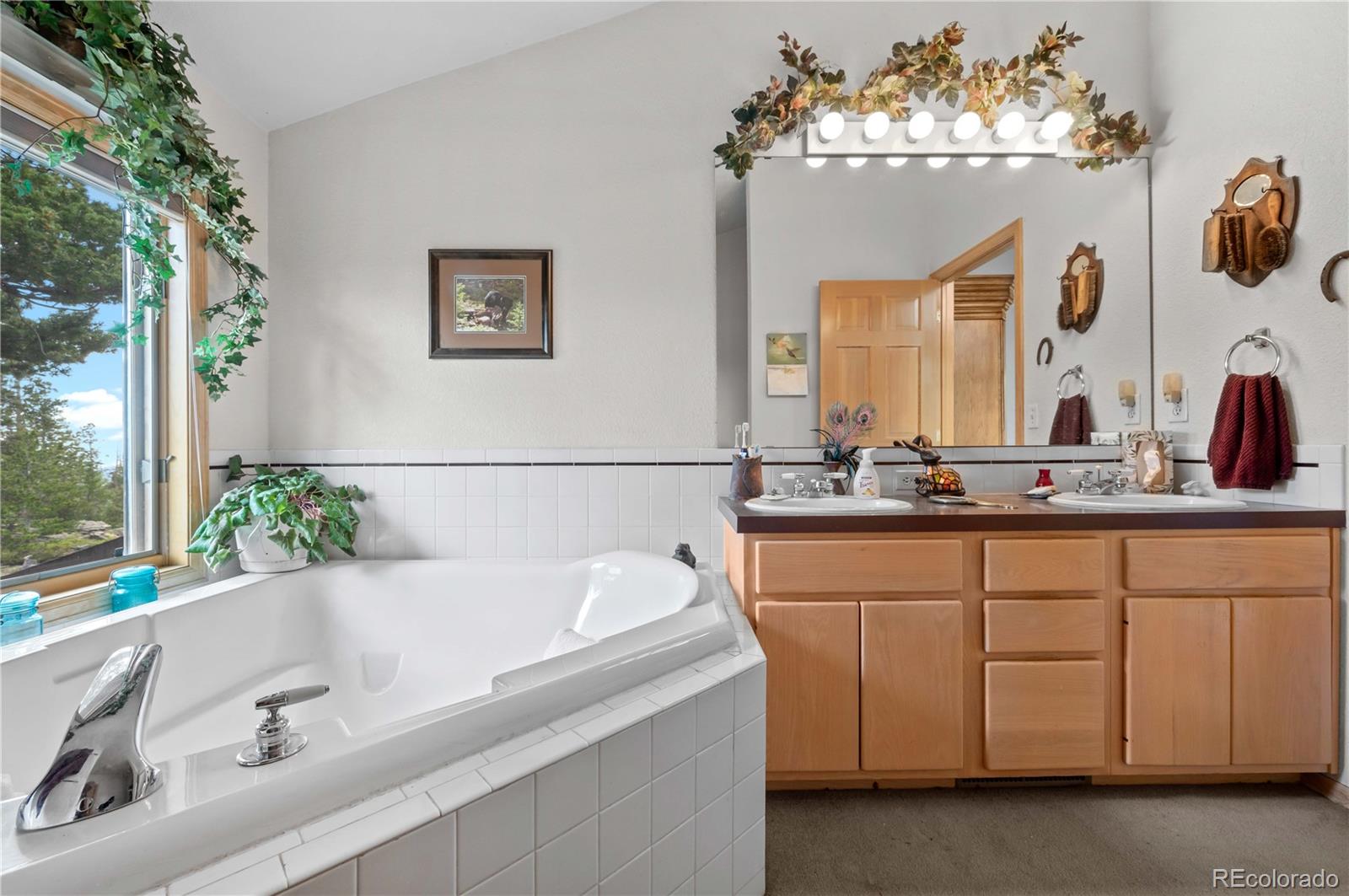 Restricted Address, 3 Bedrooms Bedrooms, ,2 BathroomsBathrooms,Residential,For Sale,Meadow Mountain,REC5866900