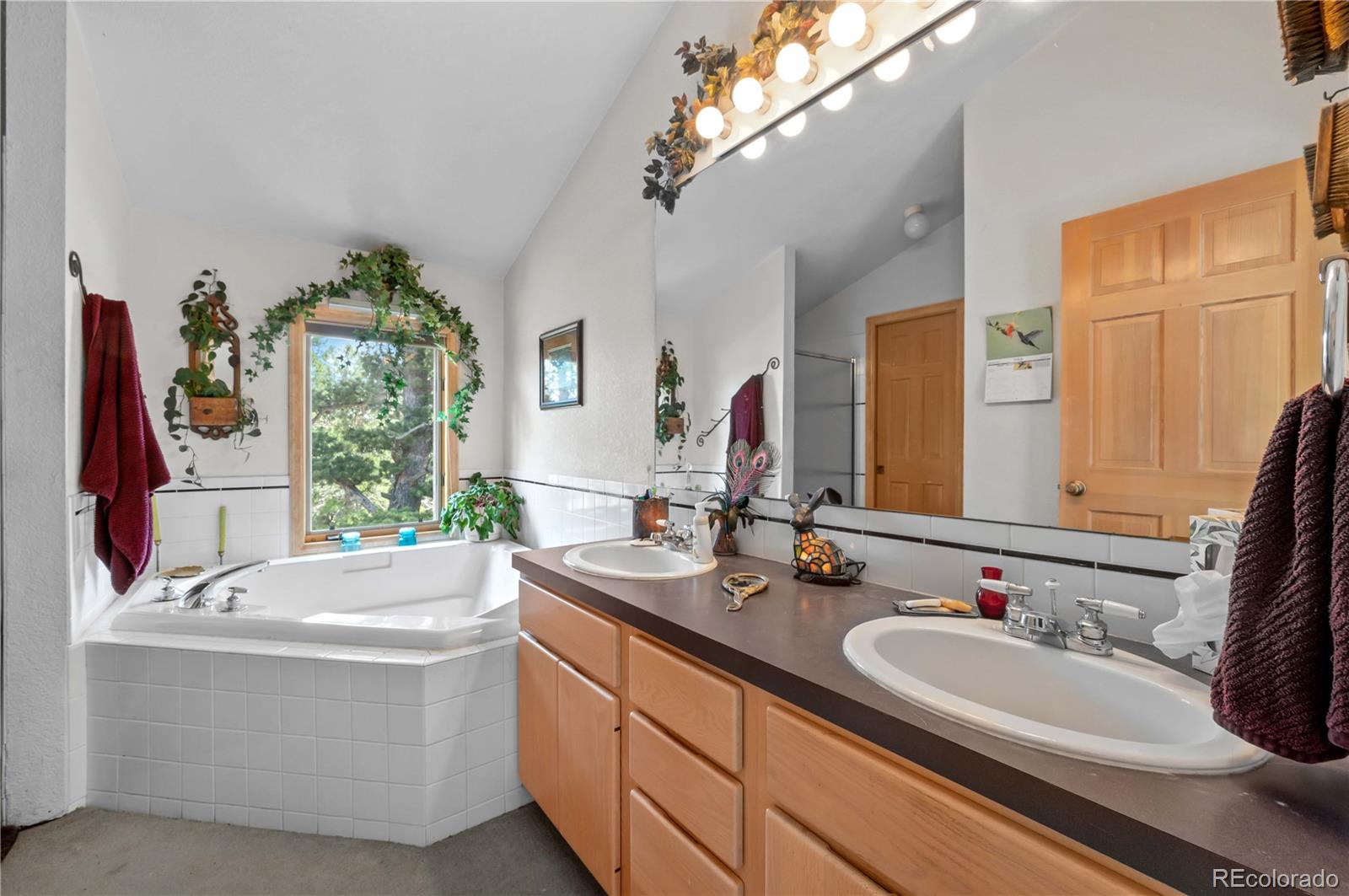Restricted Address, 3 Bedrooms Bedrooms, ,2 BathroomsBathrooms,Residential,For Sale,Meadow Mountain,REC5866900