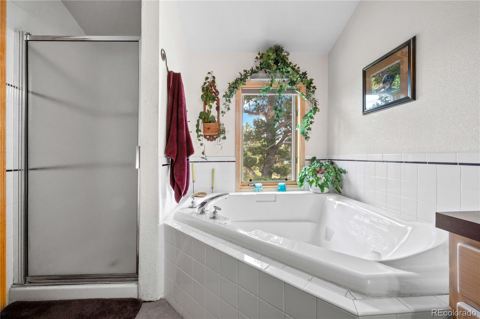 Restricted Address, 3 Bedrooms Bedrooms, ,2 BathroomsBathrooms,Residential,For Sale,Meadow Mountain,REC5866900