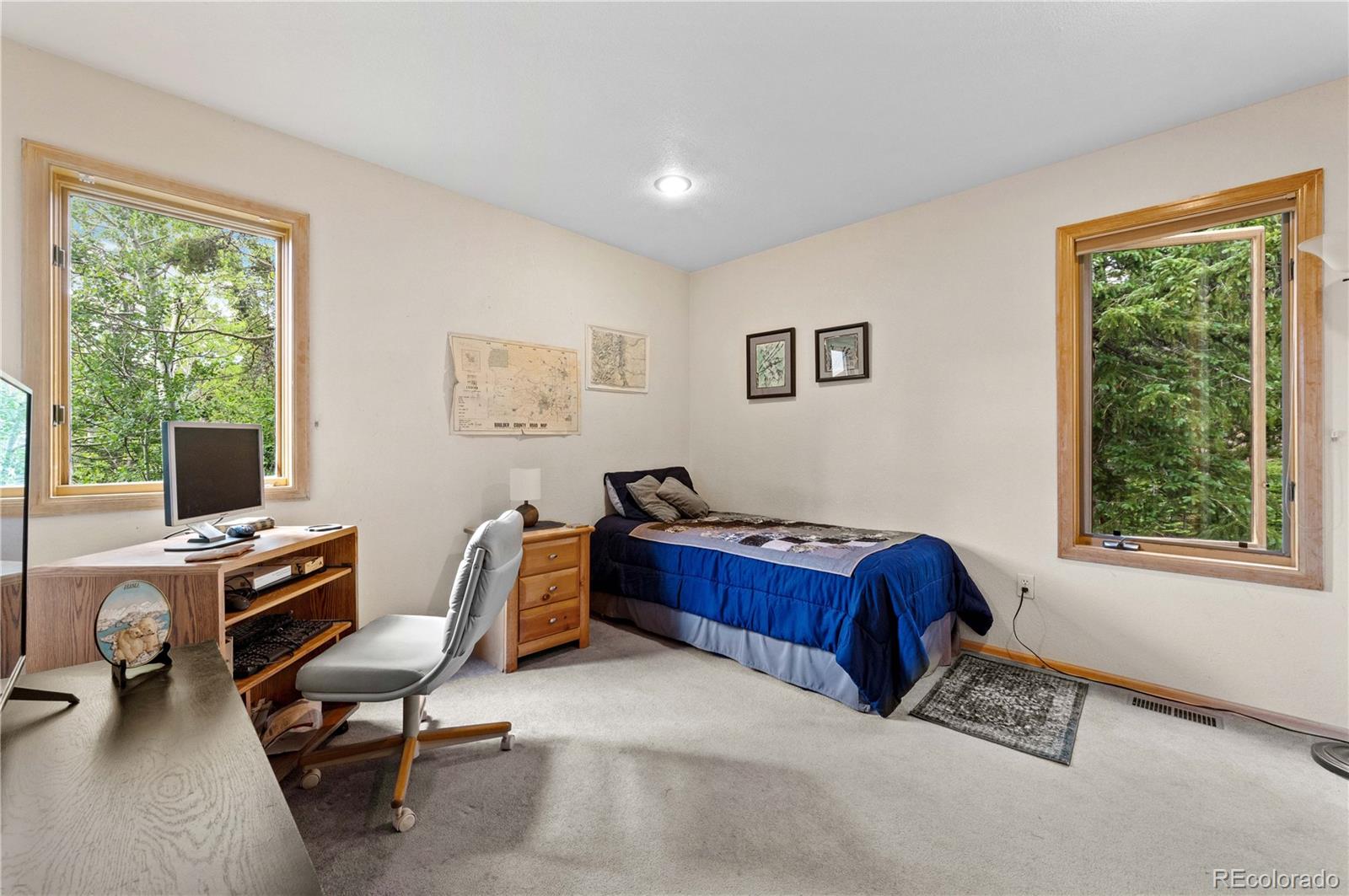 Restricted Address, 3 Bedrooms Bedrooms, ,2 BathroomsBathrooms,Residential,For Sale,Meadow Mountain,REC5866900