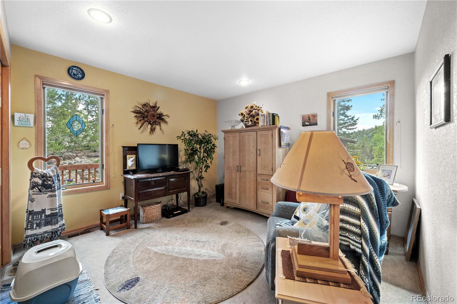 Restricted Address, 3 Bedrooms Bedrooms, ,2 BathroomsBathrooms,Residential,For Sale,Meadow Mountain,REC5866900