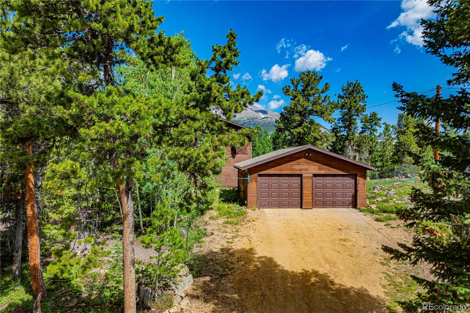 Restricted Address, 3 Bedrooms Bedrooms, ,2 BathroomsBathrooms,Residential,For Sale,Meadow Mountain,REC5866900
