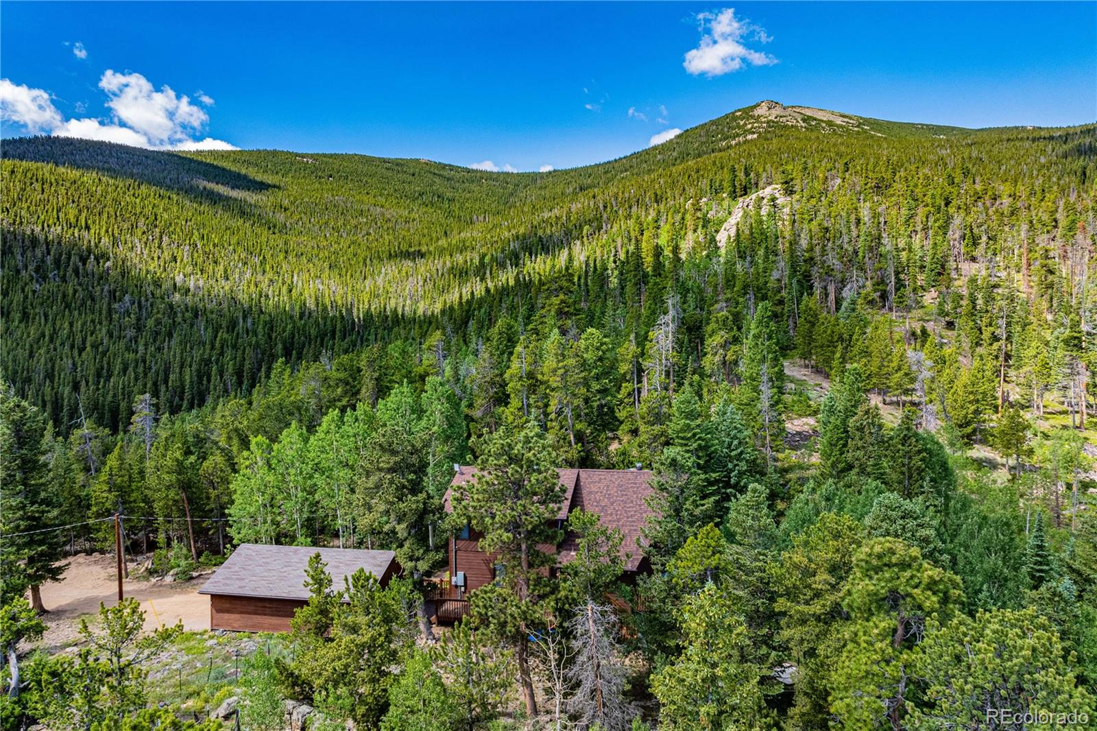 Restricted Address, 3 Bedrooms Bedrooms, ,2 BathroomsBathrooms,Residential,For Sale,Meadow Mountain,REC5866900