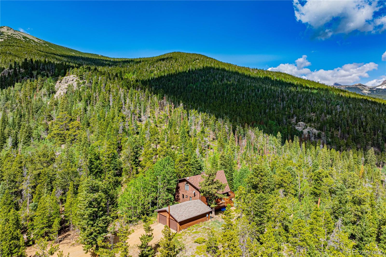 Restricted Address, 3 Bedrooms Bedrooms, ,2 BathroomsBathrooms,Residential,For Sale,Meadow Mountain,REC5866900
