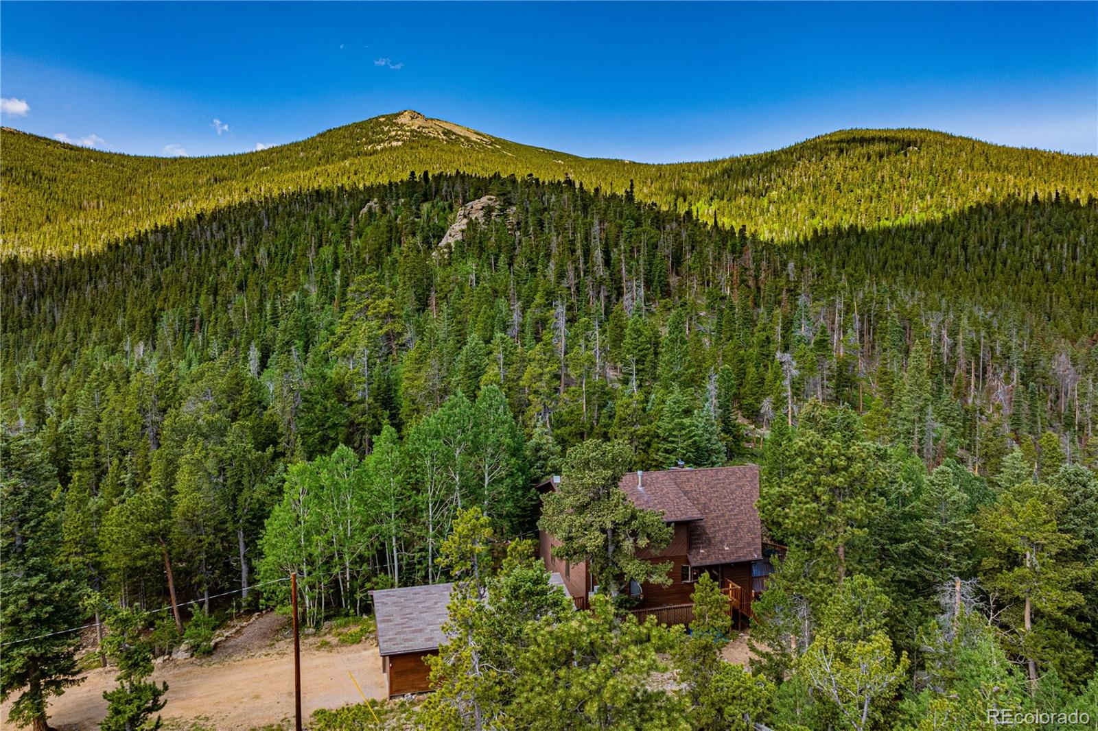 Restricted Address, 3 Bedrooms Bedrooms, ,2 BathroomsBathrooms,Residential,For Sale,Meadow Mountain,REC5866900