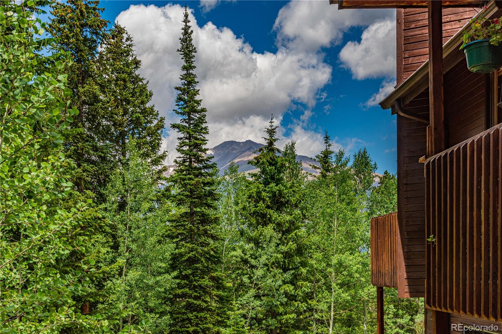 Restricted Address, 3 Bedrooms Bedrooms, ,2 BathroomsBathrooms,Residential,For Sale,Meadow Mountain,REC5866900