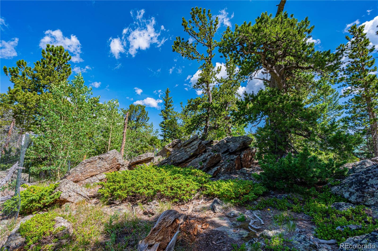 Restricted Address, 3 Bedrooms Bedrooms, ,2 BathroomsBathrooms,Residential,For Sale,Meadow Mountain,REC5866900