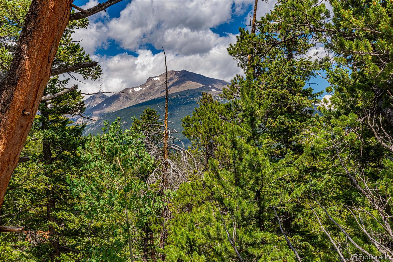 Restricted Address, 3 Bedrooms Bedrooms, ,2 BathroomsBathrooms,Residential,For Sale,Meadow Mountain,REC5866900