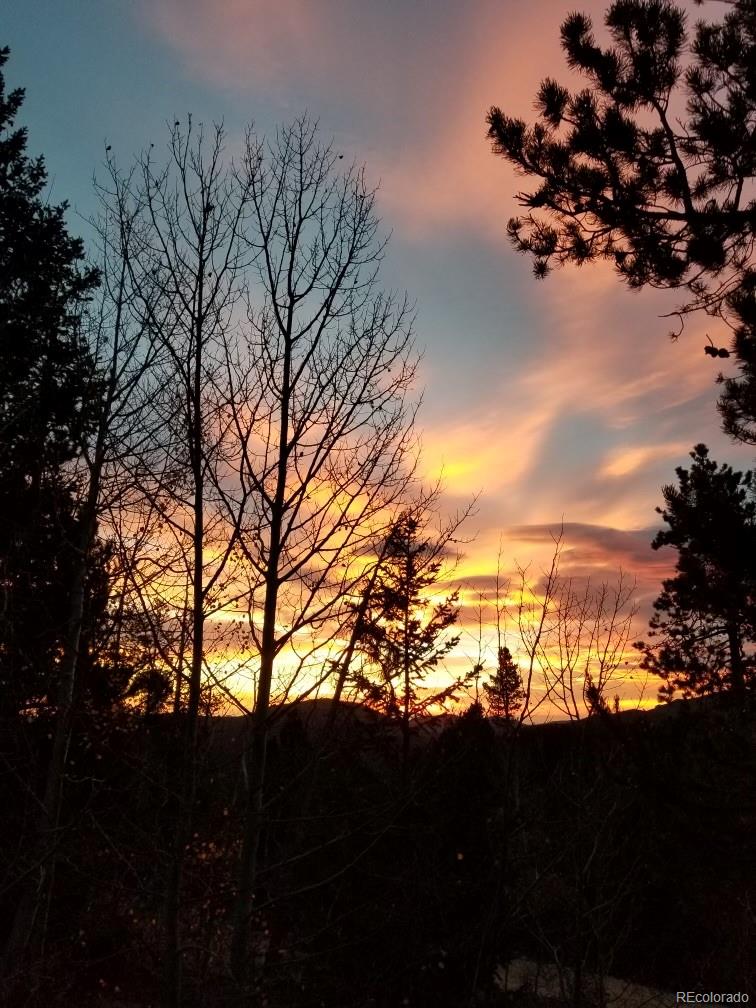 Restricted Address, 3 Bedrooms Bedrooms, ,2 BathroomsBathrooms,Residential,For Sale,Meadow Mountain,REC5866900