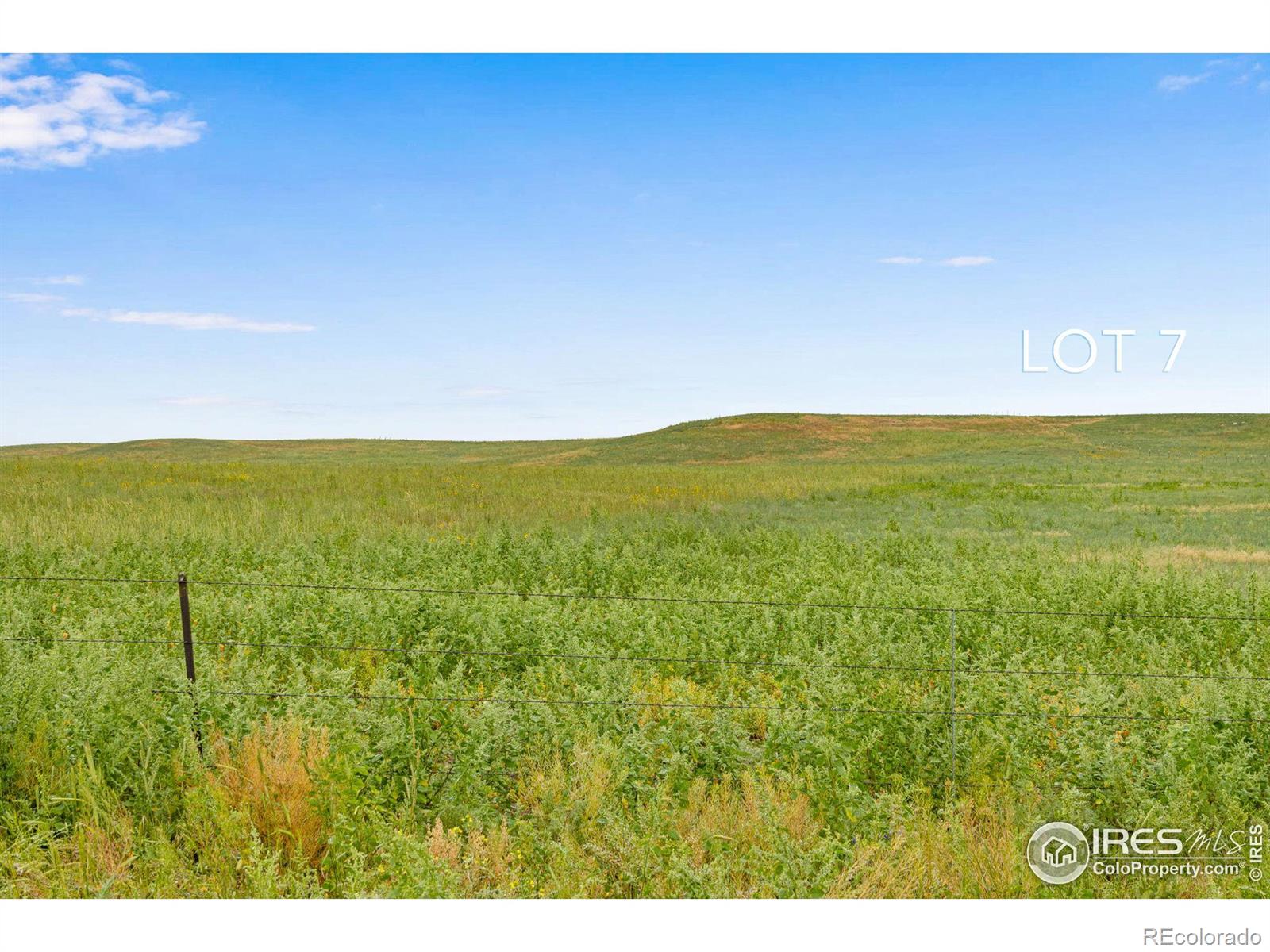 7 TBD County Road 122, Carr, CO 80612, ,Land,For Sale,TBD County Road 122,RECIR1021849