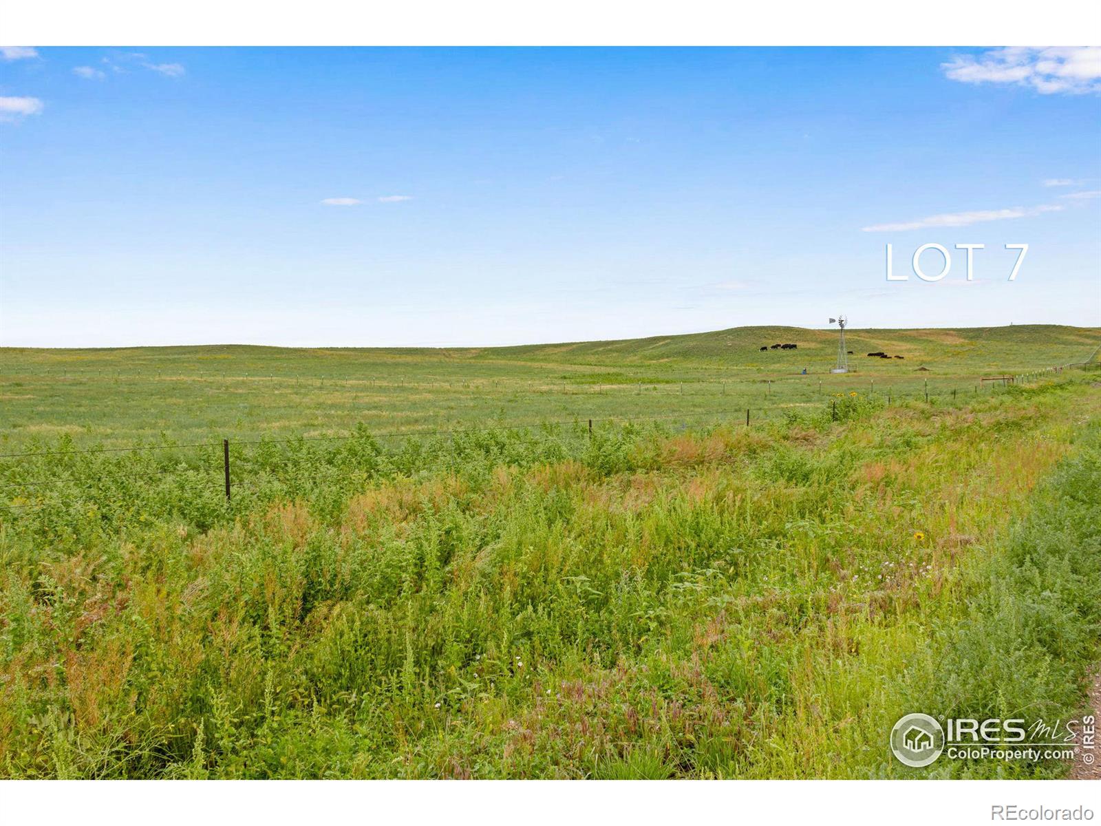 7 TBD County Road 122, Carr, CO 80612, ,Land,For Sale,TBD County Road 122,RECIR1021849