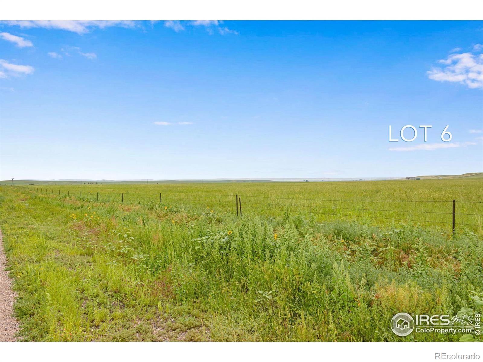 6 TBD County Road 122, Carr, CO 80612, ,Land,For Sale,TBD County Road 122,RECIR1021848
