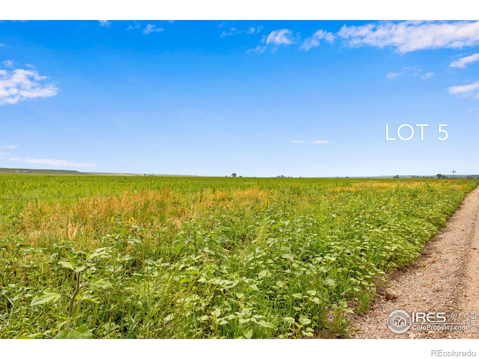 5 TBD County Road 17, Carr, CO 80612, ,Land,For Sale,TBD County Road 17,RECIR1021847