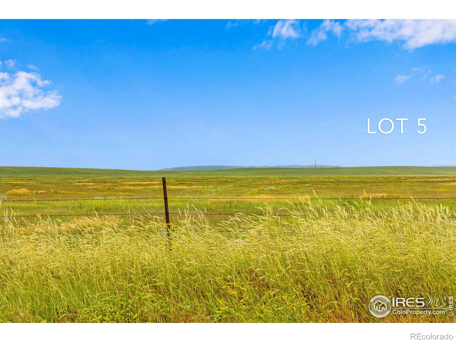 5 TBD County Road 17, Carr, CO 80612, ,Land,For Sale,TBD County Road 17,RECIR1021847
